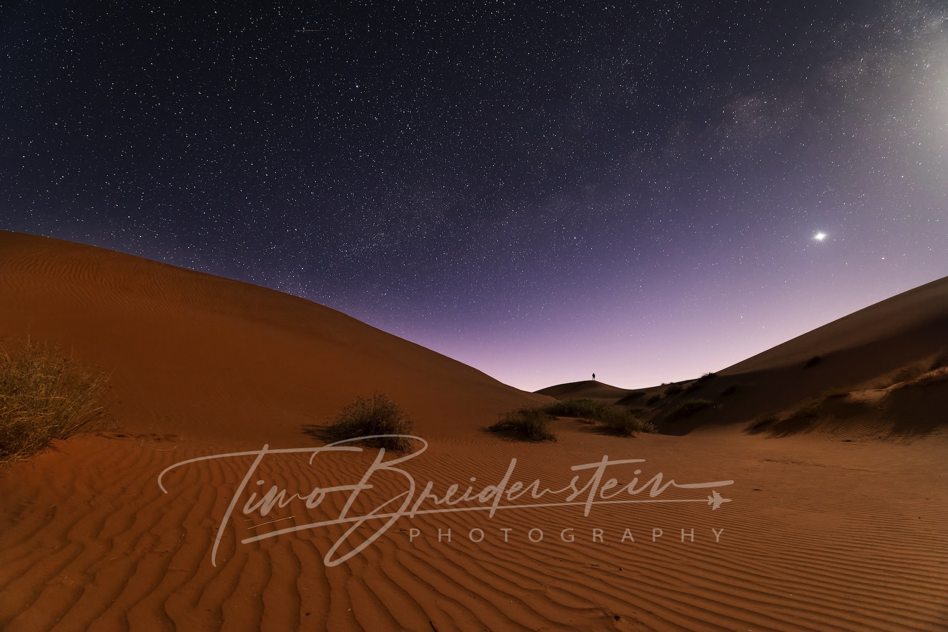 2N8A6046 CR3 DxO DeepPRIME